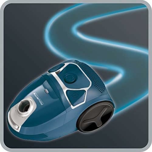 Dammsugare med Pse Rowenta 900 W