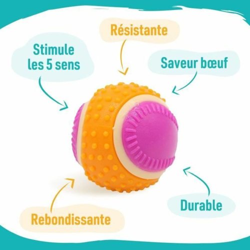 Mjuk leksak f�r hundar Aim� Rosa Plast