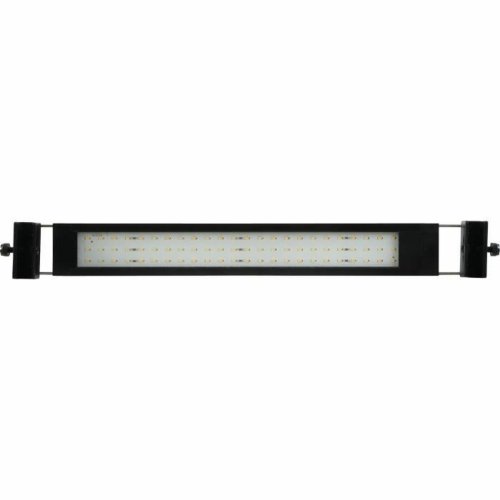 LED trakovi Zolux 300 cm Kallvit