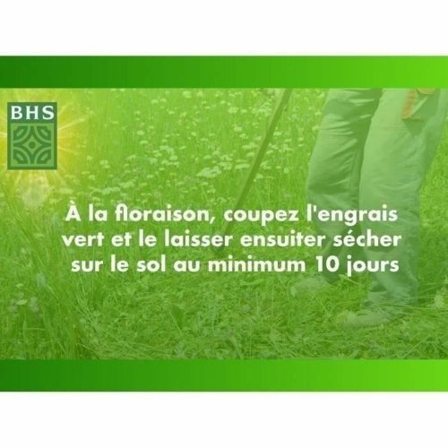 Frn BHS Trfle Blanc 500 g
