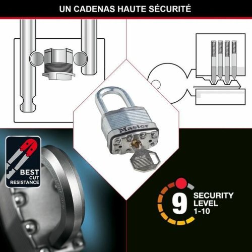 Hngls med nyckel Master Lock (3 antal)
