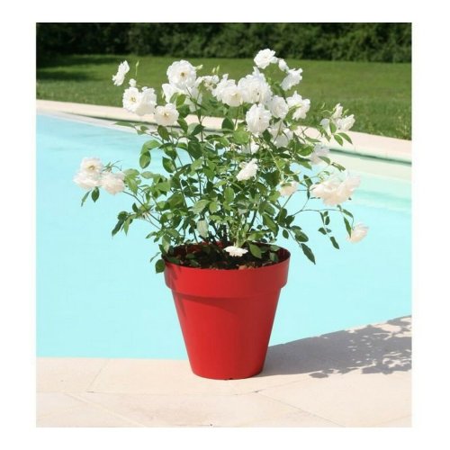 Kruka Riviera 414056  39,2 x 35,8 cm Rd
