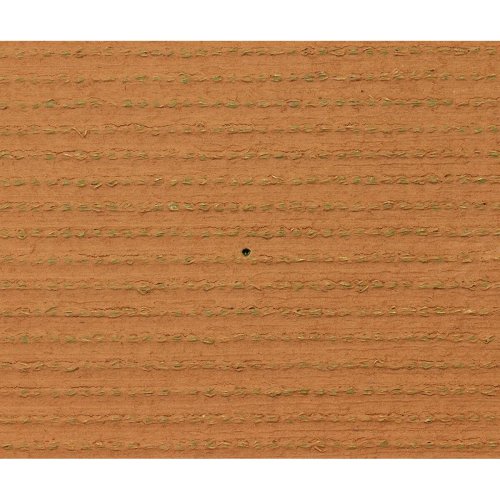 Konstgrs Exelgreen Campus 2D 1 x 5 m 25 mm