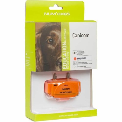 Hund utbildning kragar Num'Axes Orange