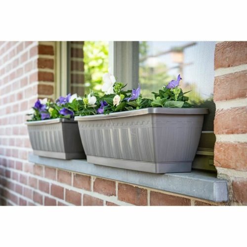 Sjlvvattnande planter Garden ID Antracitgr 60 cm