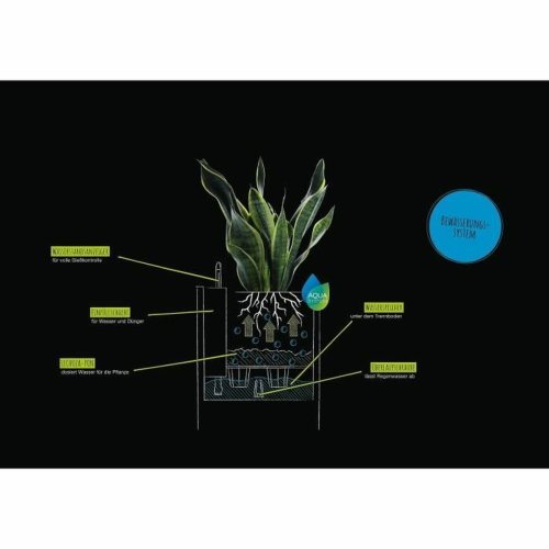 Kruka Lechuza 40 x 40 x 76 cm Gr polypropen Rektangulr