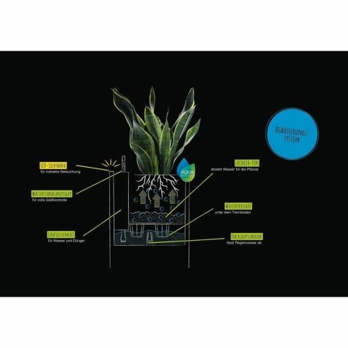 Sjlvvattnande blomkruka Lechuza Vit 30 x 30 cm LED