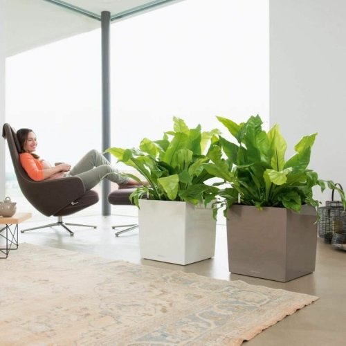 Sj�lvvattnande blomkruka Lechuza Vit 40 x 40 cm polypropen Plast