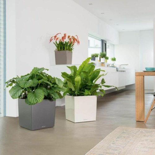 Sj�lvvattnande blomkruka Lechuza Vit 40 x 40 cm polypropen Plast