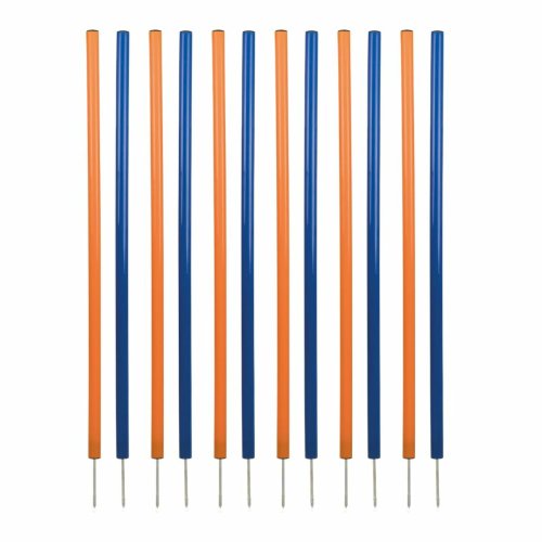 Trningsleksak Trixie