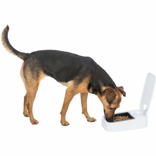 Matskl fr husdjur Trixie Vit Svart Plast 300 ml