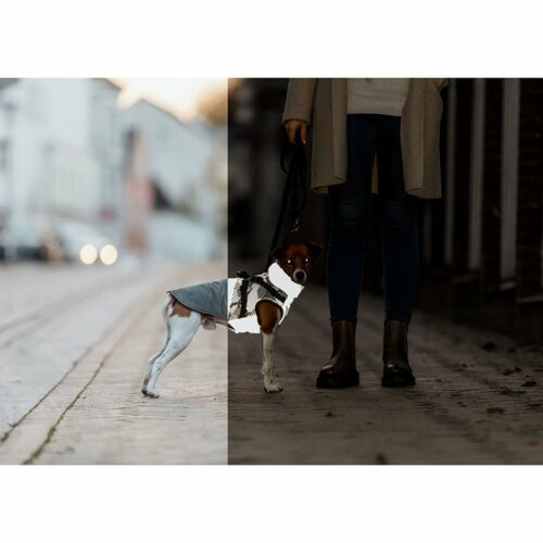 Hundrock Trixie Gr XS