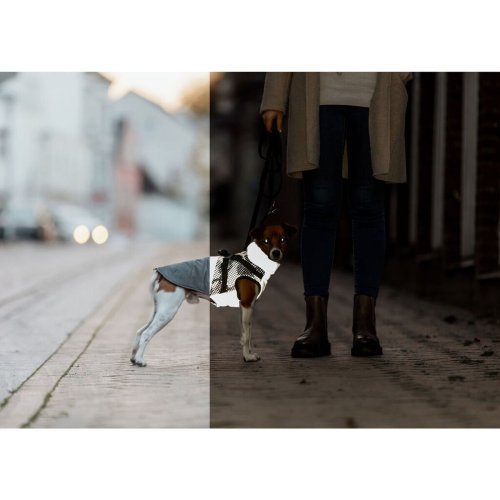 Hundrock Trixie Gr S