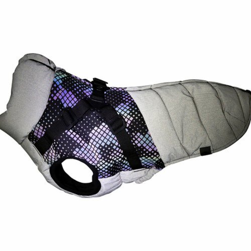 Hundrock Trixie Gr S