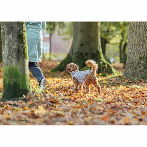 Hundrock Trixie Gr XS