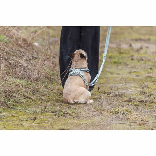 Hundsele Trixie Premium FlexMesh XS/S