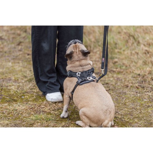 Hundsele Trixie Premium FlexMesh Svart S-M