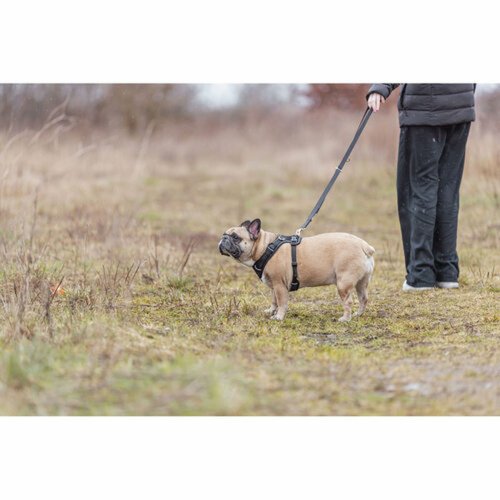 Hundsele Trixie Premium FlexMesh Svart M