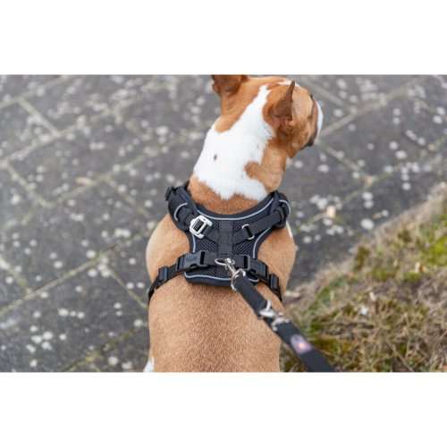 Hundsele Trixie Premium FlexMesh Svart L