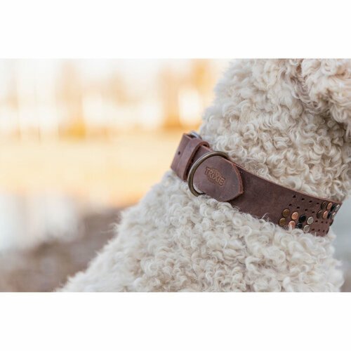 Hundhalsband Trixie Rustic Mrkbrun M