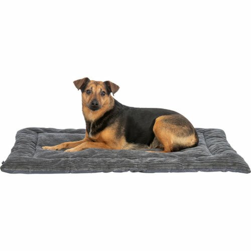 Luftsng Trixie Mrkgr 70  50 cm Hund
