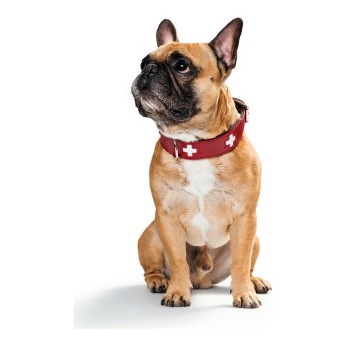 Hundhalsband Hunter Swiss Rd/Svart 30-34.5 cm