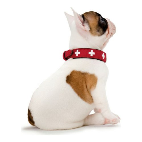 Hundhalsband Hunter Swiss Rd/Svart 30-34.5 cm