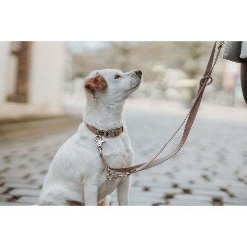 DoHundkoppel Hunter Inari Beige 200 cm