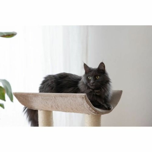 Klstrd fr katter Kerbl Beige-brun (taupe) Sisal