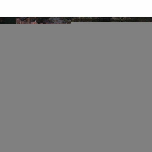 Bur Kerbl 120 x 59 cm Papp