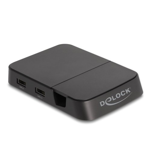 Docka/laddningsstation DELOCK 88018 Svart