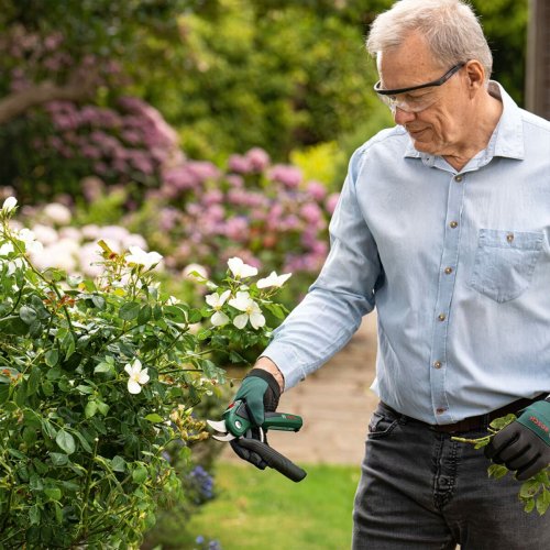 Sekatrer BOSCH EasyPrune