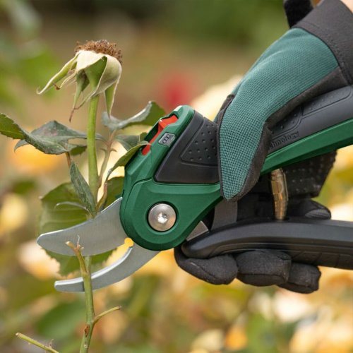 Sekatrer BOSCH EasyPrune