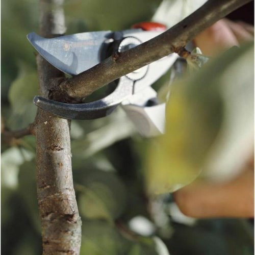 Sekatrer Gardena BP SIGHT 50 22 mm