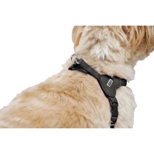 Hundsele Hunter SOHO MINI Svart