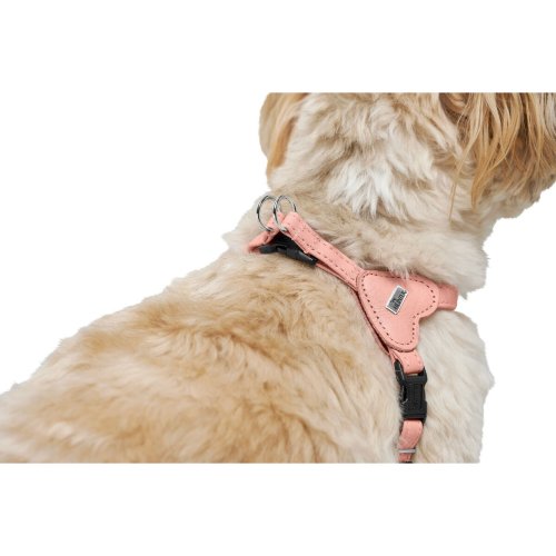 Hundsele Hunter SOHO MINI Rosa XXS/XS