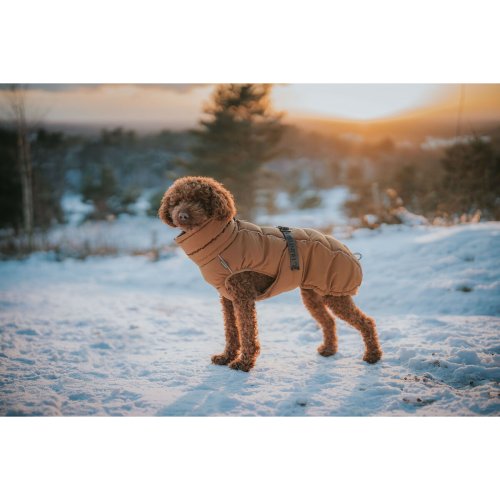 Djurklder Hunter PAXSON Brun Polyester