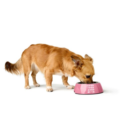 Hundmatare Hunter Chester Rosa 350 ml