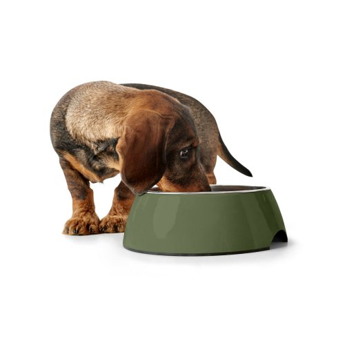 Hundmatare Hunter Grn 700 ml