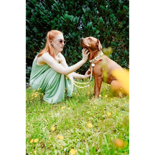 Hundhalsband Hunter Malia Lime M/L 45-54 cm