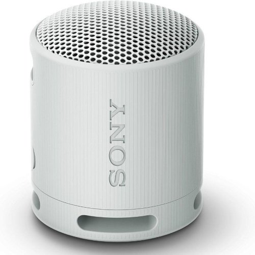 Brbar Bluetooth Hgtalare Sony XB100 Gr