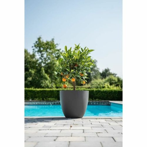 Kruka Garden ID Phoenix Anthracite Antracitgr� 48 x 42 cm