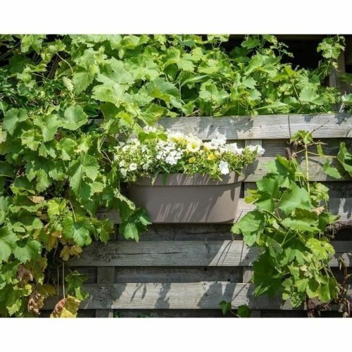 Sjlvvattnande planter Garden ID Beige-brun (taupe)