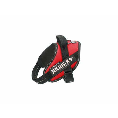 Hundsele Julius K9 IDC Rd