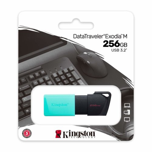 Minnessticka Kingston DTXM/256GB Nyckelkedja Svart Turkos 256 GB