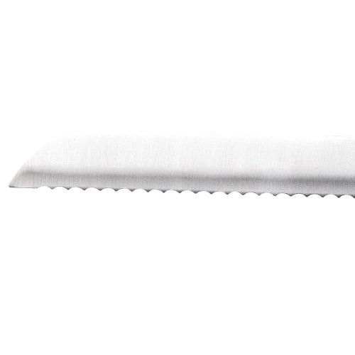Brdkniv San Ignacio Expert SG41026 Rostfritt stl ABS 20 cm