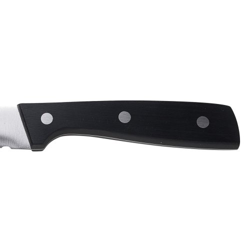 Brdkniv San Ignacio Expert SG41026 Rostfritt stl ABS 20 cm
