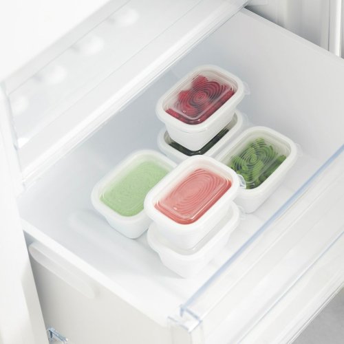 Cat Feeder Rotho Transparent (6 antal)