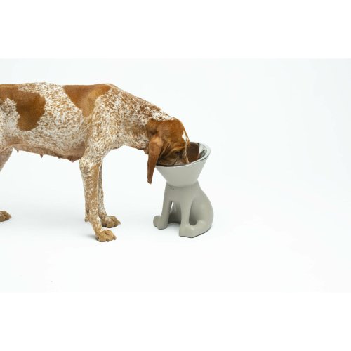 Hundmatare United Pets Up Elisabeth Gr Rostfritt stl Polyetyle