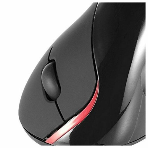 Optisk Mus Ergonomisk Ewent EW3156 1000 dpi USB Svart Svart/Rd